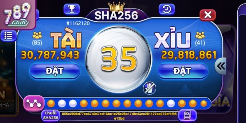 Tại Sao Chơi Tài Xỉu Online Toàn Thua 789club - Giải Mã 2 Các yếu tố giúp cải thiện kết quả khi tham gia